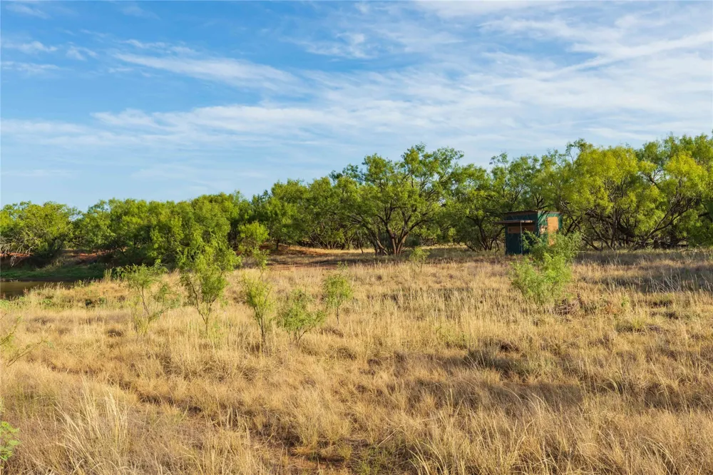 FM 1226 Stamford, TX 79553