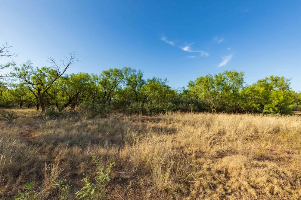 FM 1226 Stamford, TX 79553