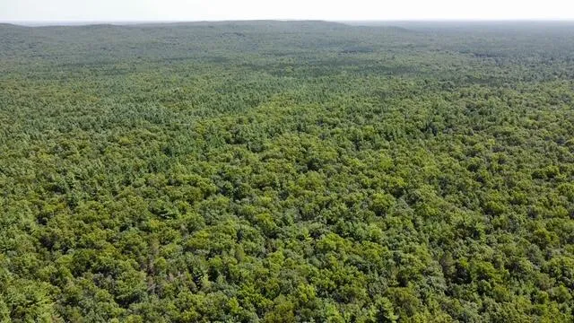 S Skocelas Rd Manistee, MI 49660