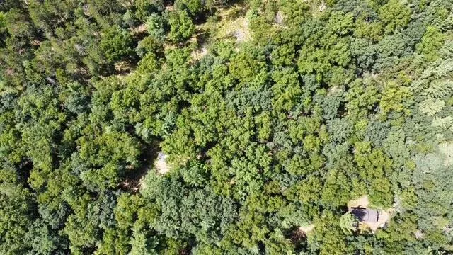 S Skocelas Rd Manistee, MI 49660