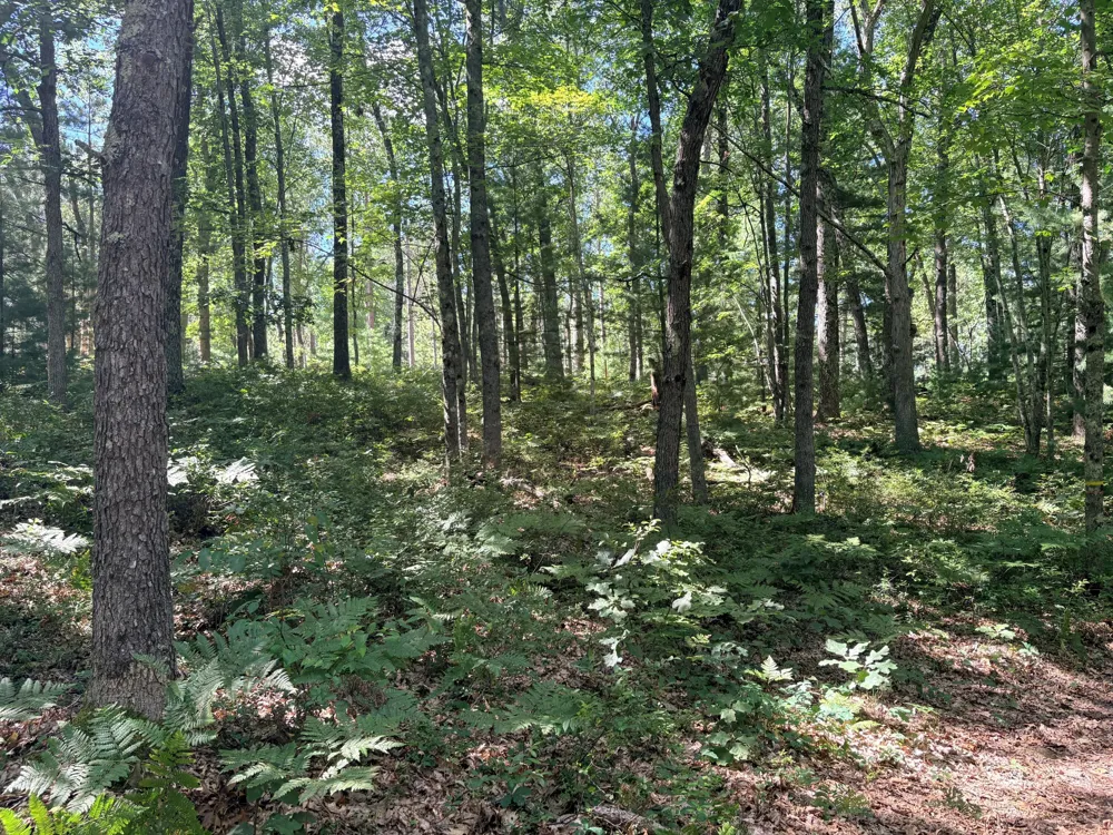 S Skocelas Rd Manistee, MI 49660