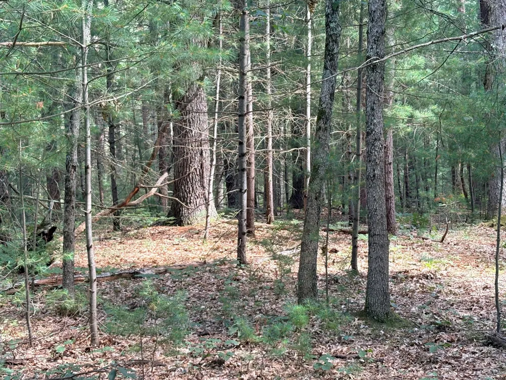 S Skocelas Rd Manistee, MI 49660