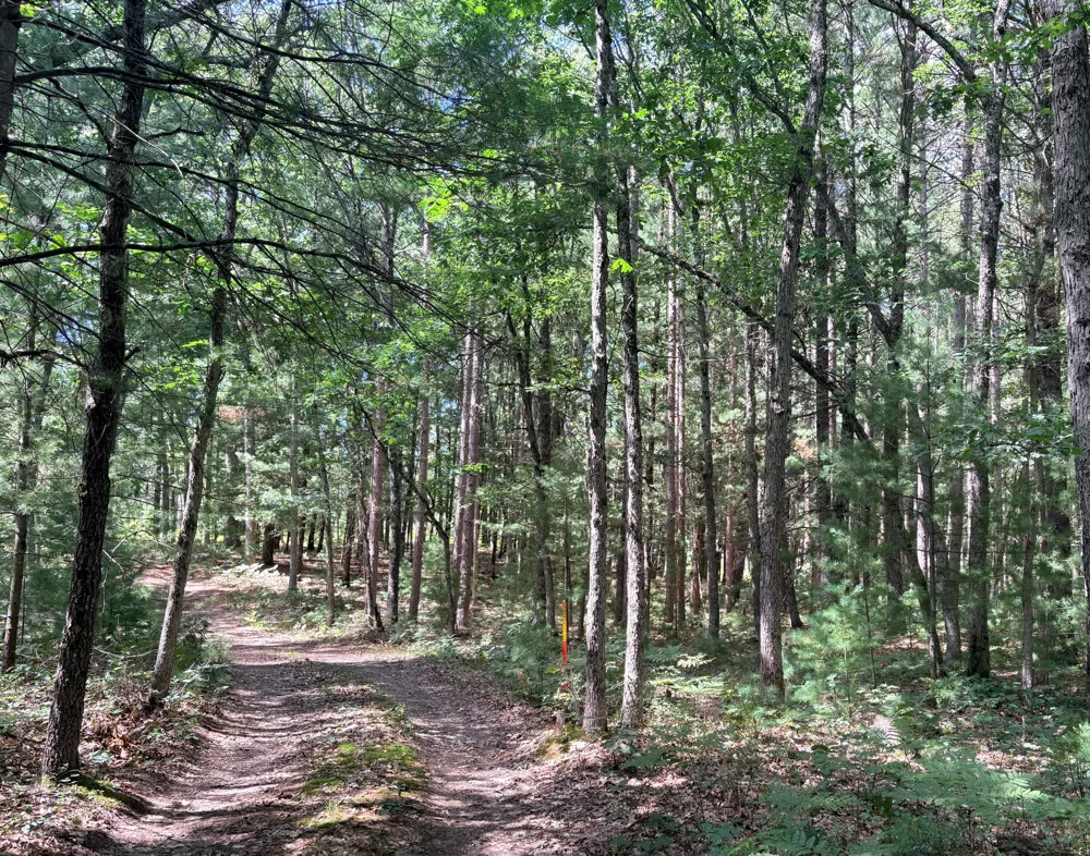 S Skocelas Rd Manistee, MI 49660