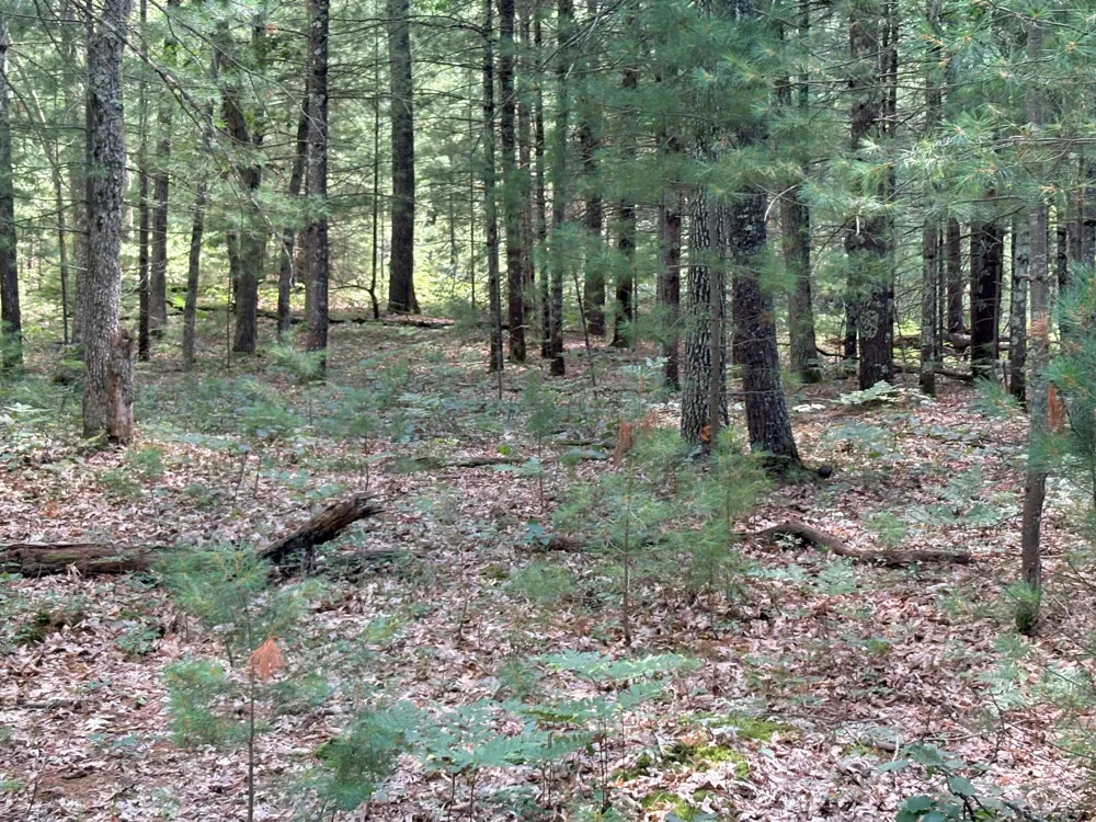 S Skocelas Rd Manistee, MI 49660