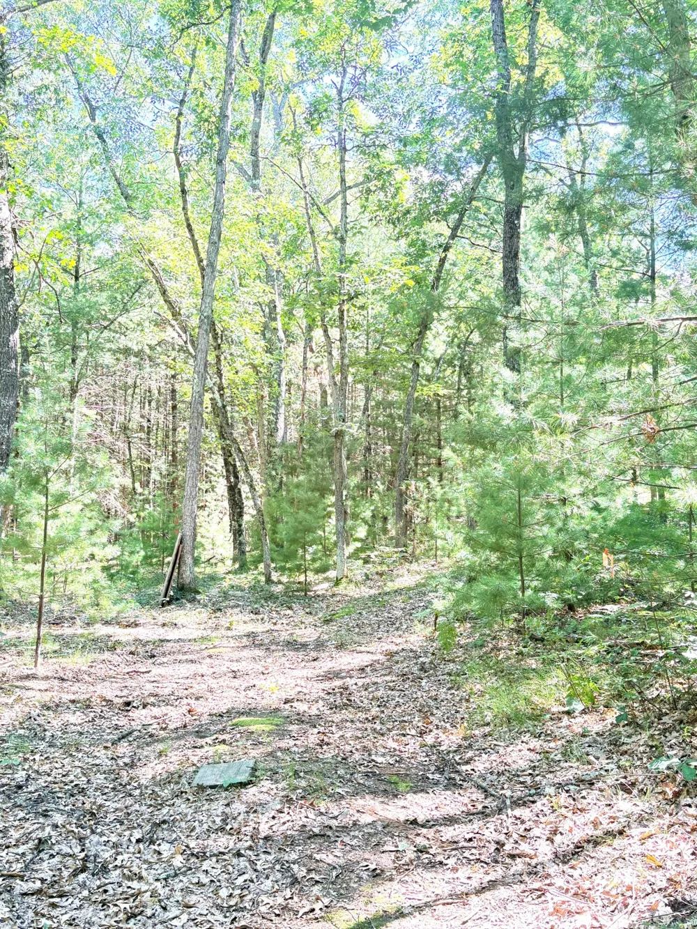 S Skocelas Rd Manistee, MI 49660