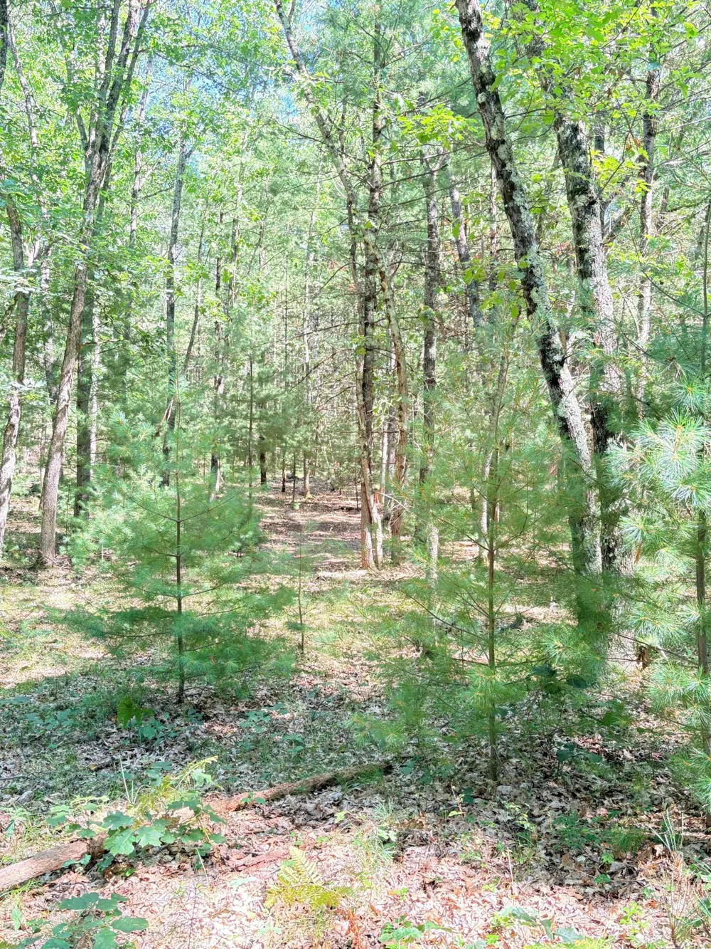 S Skocelas Rd Manistee, MI 49660