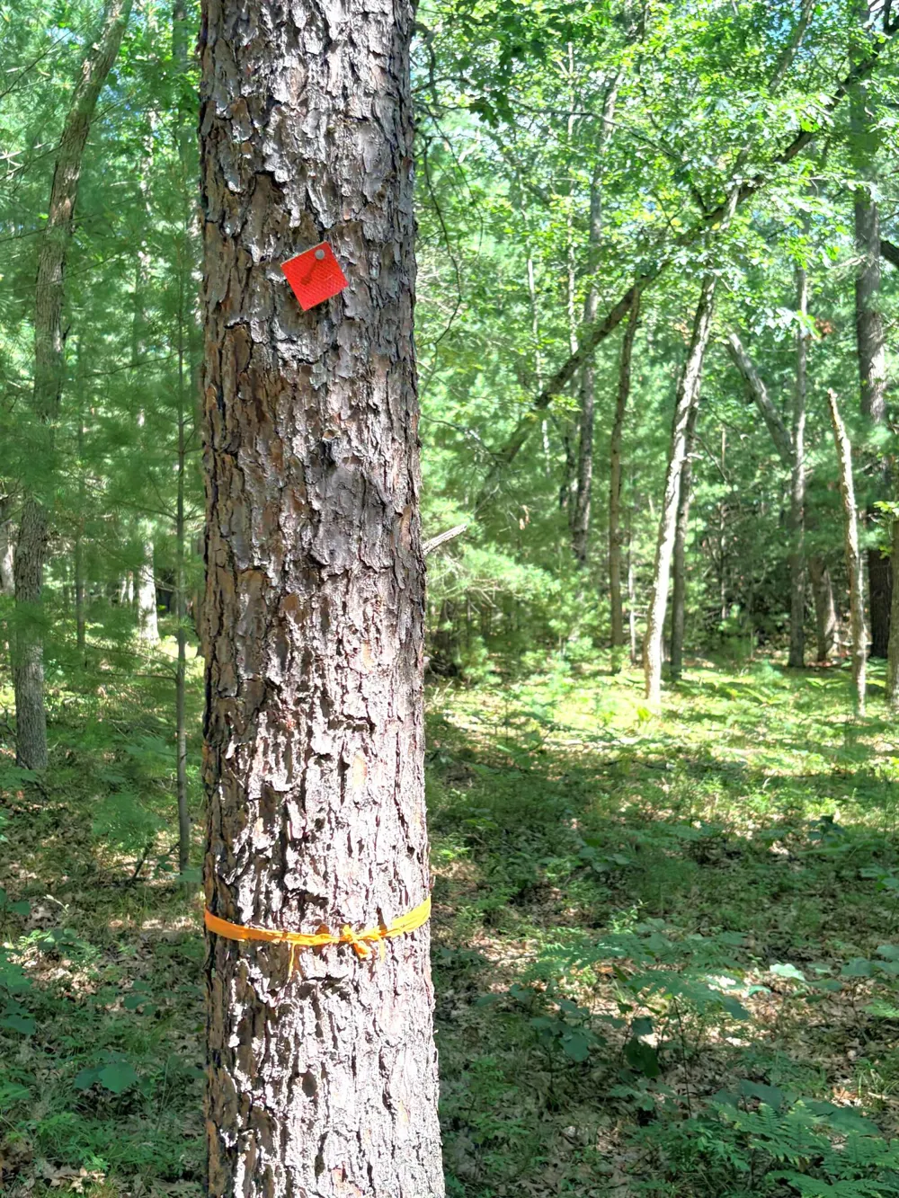 S Skocelas Rd Manistee, MI 49660