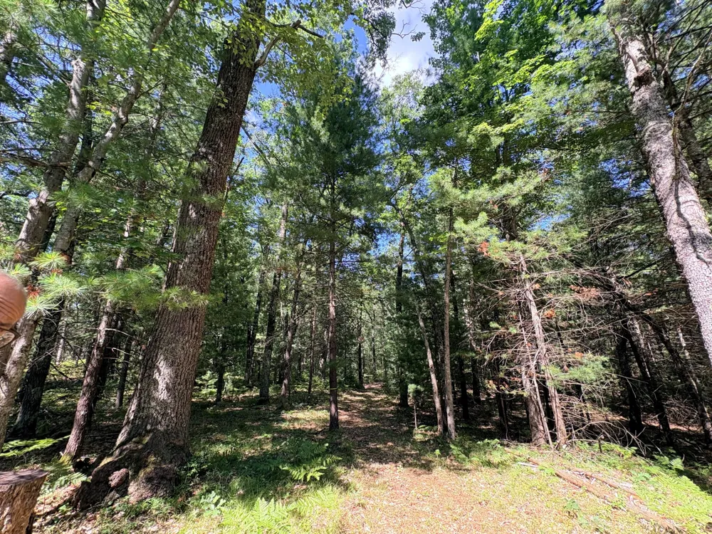 S Skocelas Rd Manistee, MI 49660