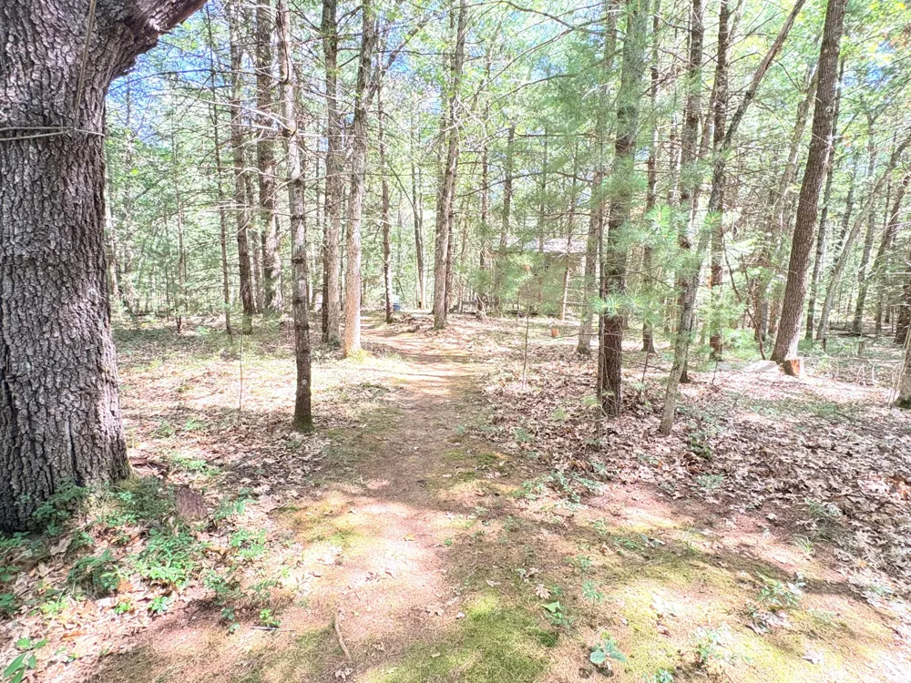 S Skocelas Rd Manistee, MI 49660