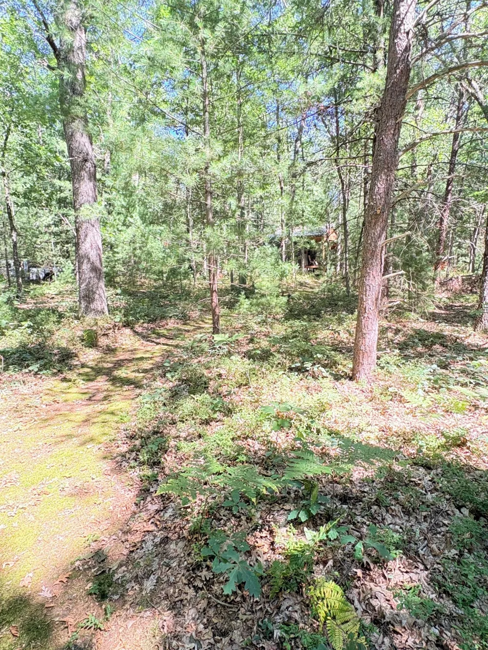 S Skocelas Rd Manistee, MI 49660