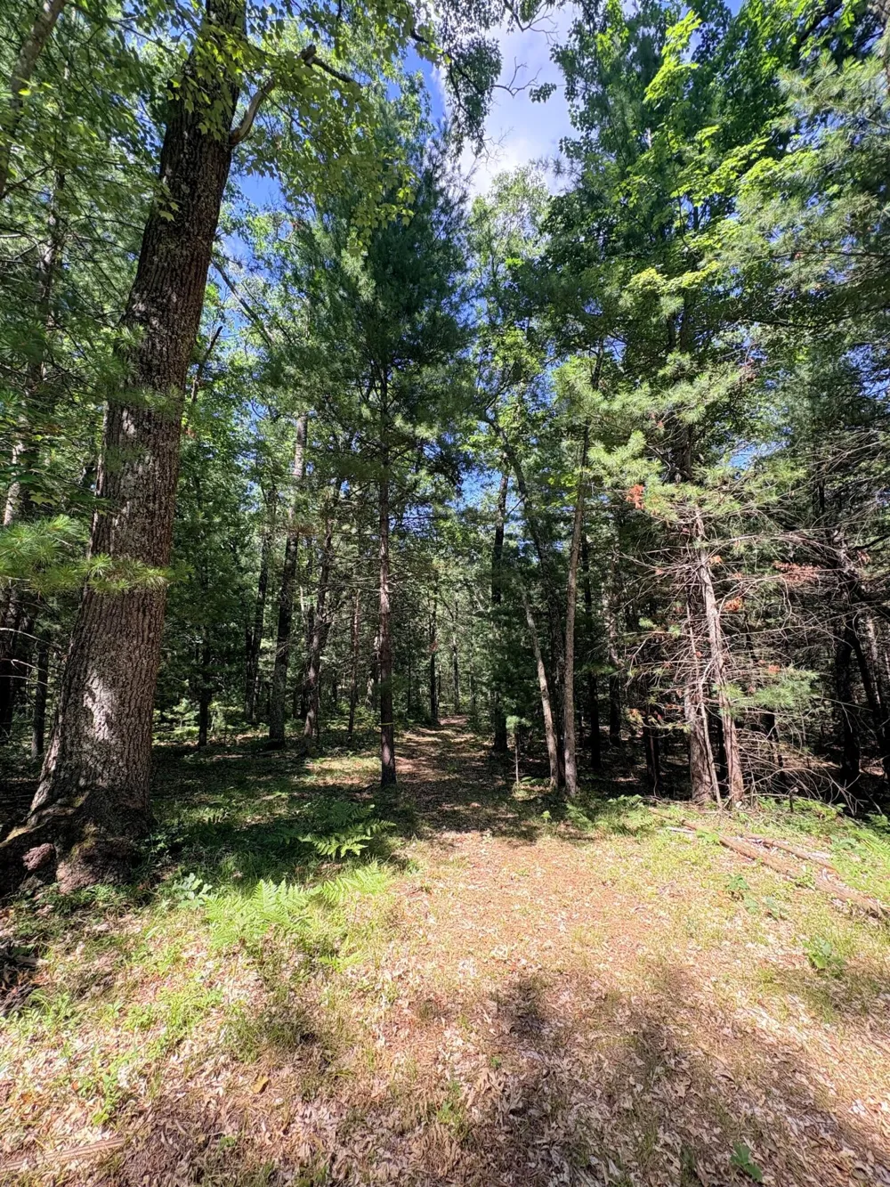 S Skocelas Rd Manistee, MI 49660