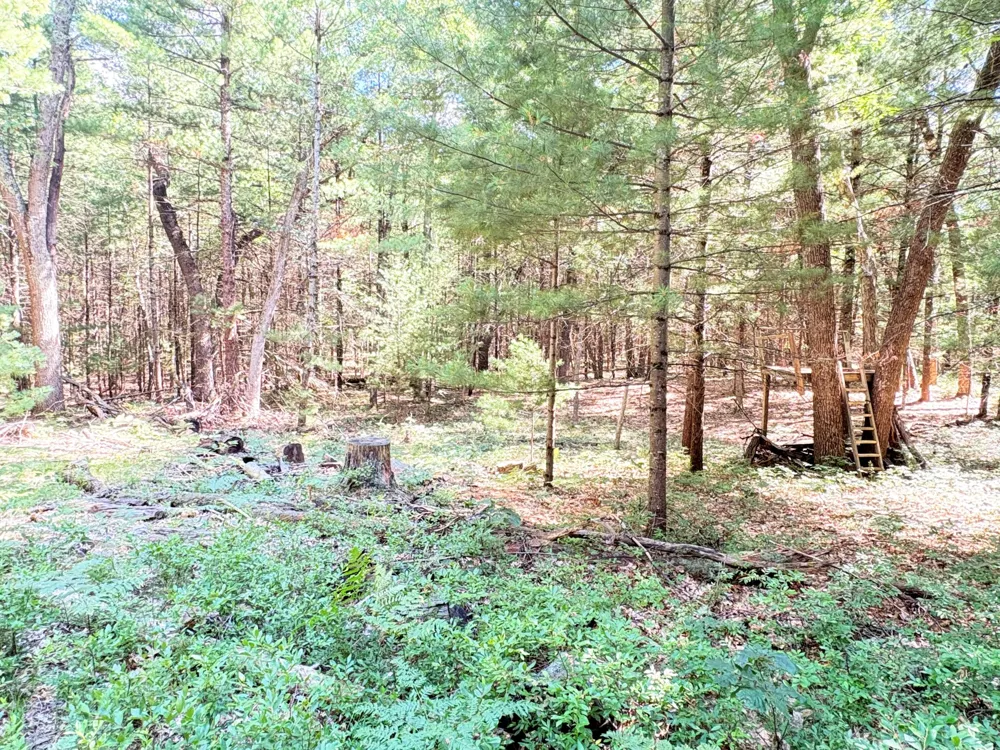 S Skocelas Rd Manistee, MI 49660