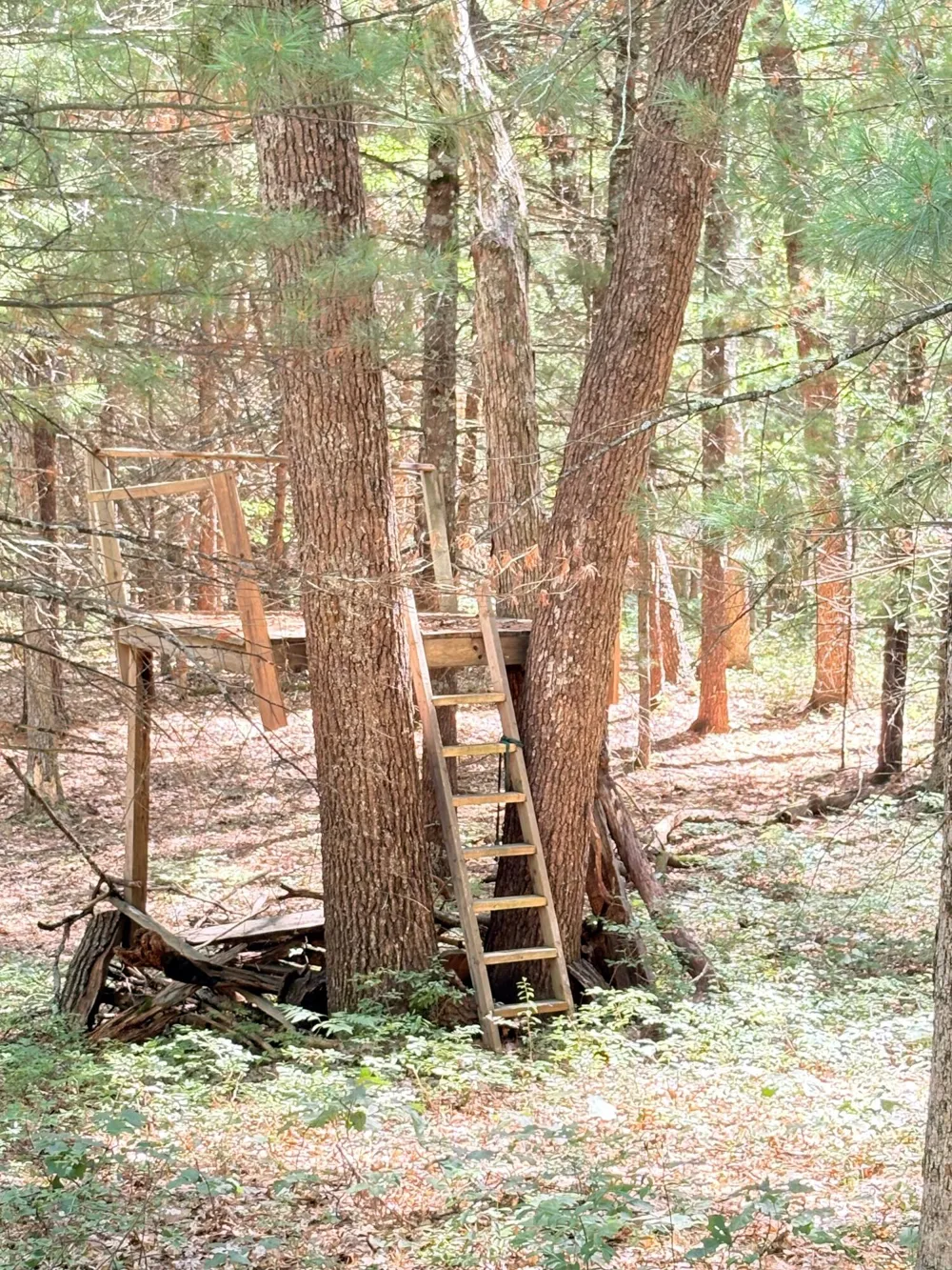 S Skocelas Rd Manistee, MI 49660