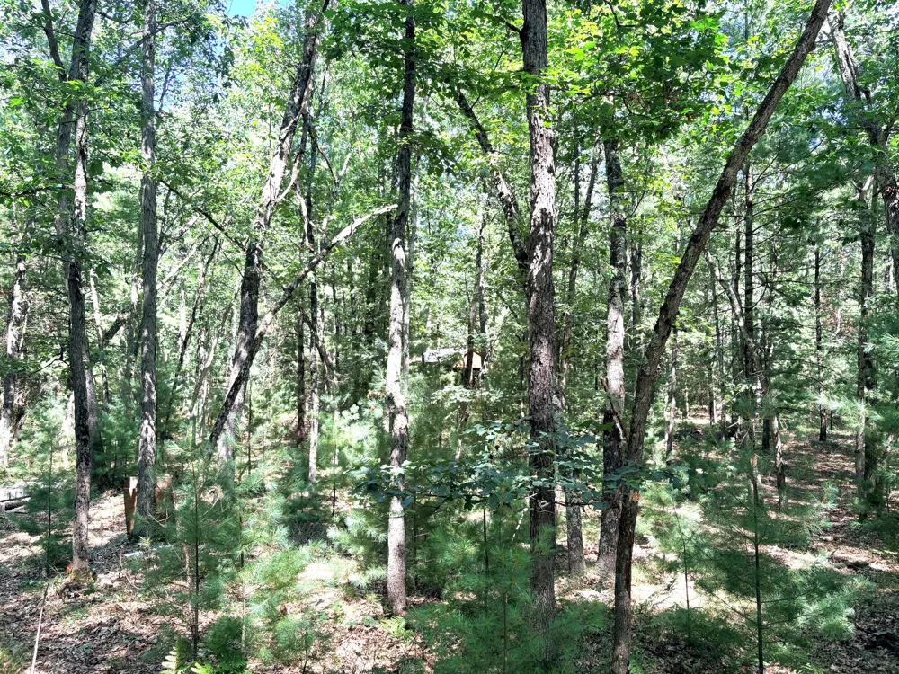 S Skocelas Rd Manistee, MI 49660