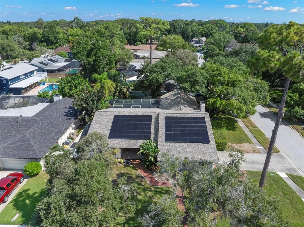 1419 INDIAN TRAIL S Palm Harbor, FL 34683