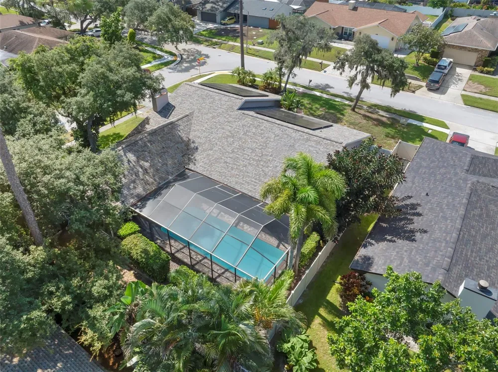 1419 INDIAN TRAIL S Palm Harbor, FL 34683