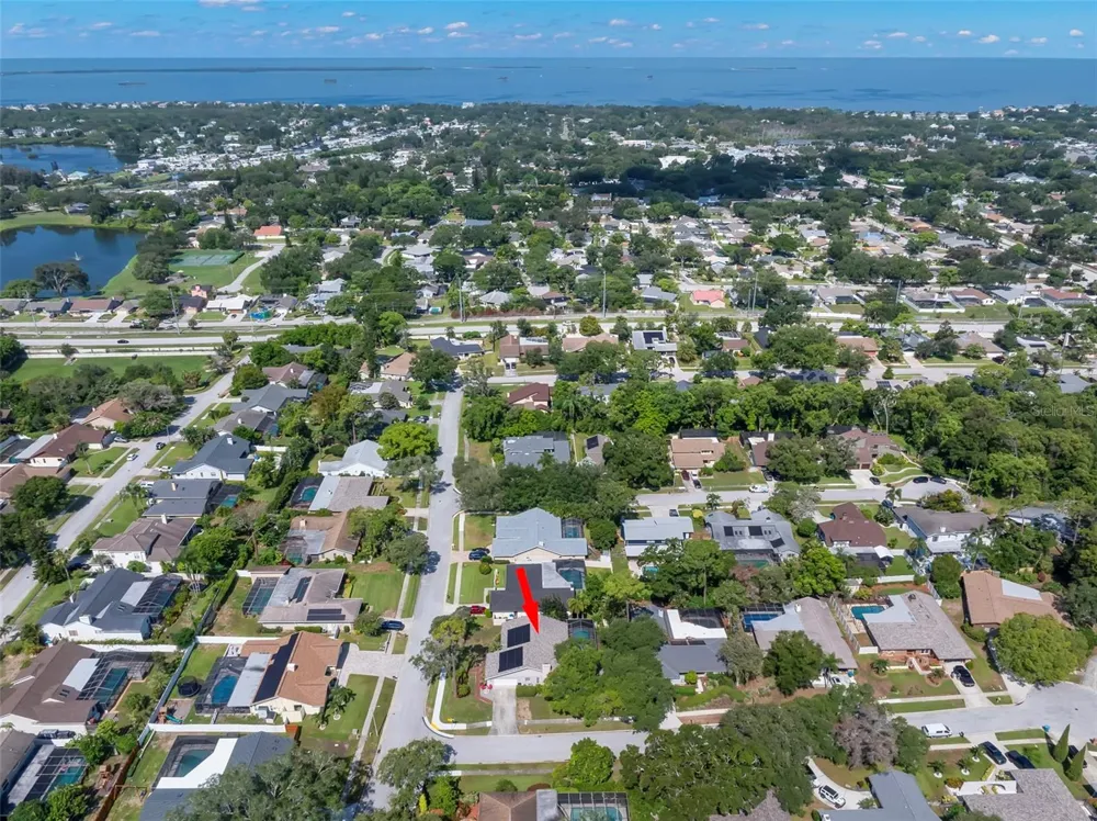 1419 INDIAN TRAIL S Palm Harbor, FL 34683