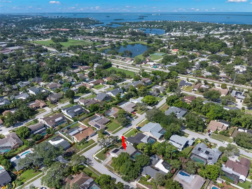1419 INDIAN TRAIL S Palm Harbor, FL 34683