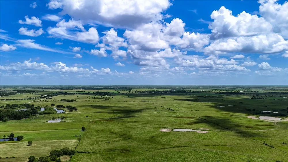 8037 Pesek Lane Needville, TX 77461