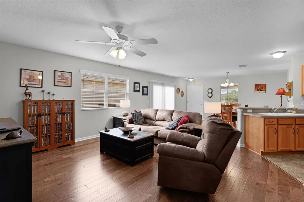 1479 OLYMPIA STREET The Villages, FL 32163
