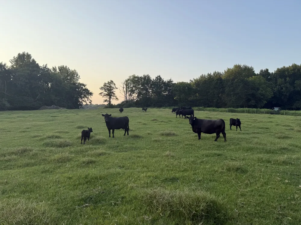 2780 Canoe Branch Rd Lebanon, TN 37087