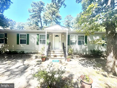 36417 FIR DRIVE