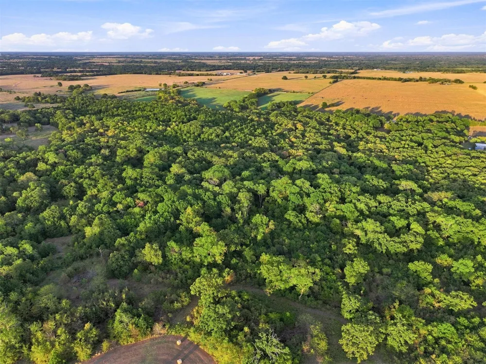 Chestnut Lane Calera, OK 74730