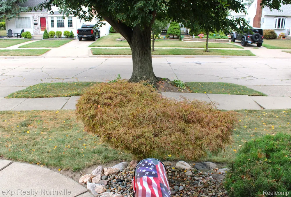 6787 Robinson Avenue Allen Park City, MI 48101