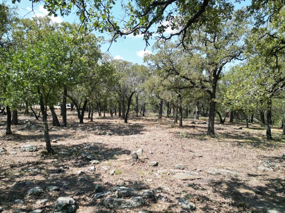 Kiki Run Gordon, TX 76453