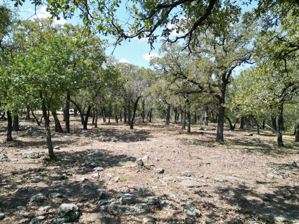 Kiki Run Gordon, TX 76453