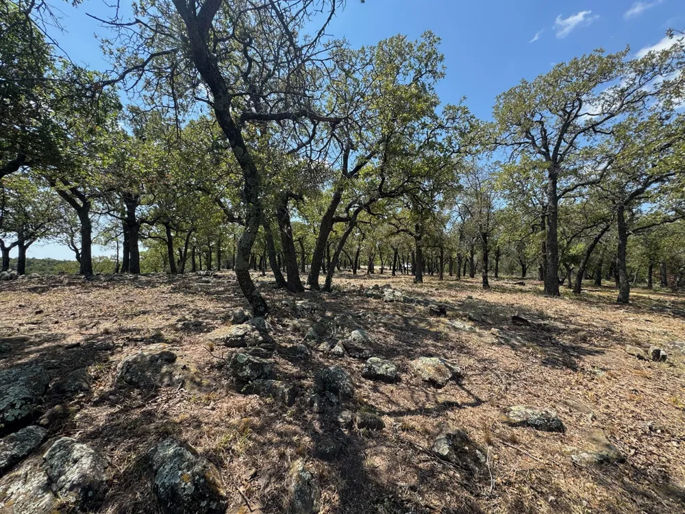 Kiki Run Gordon, TX 76453