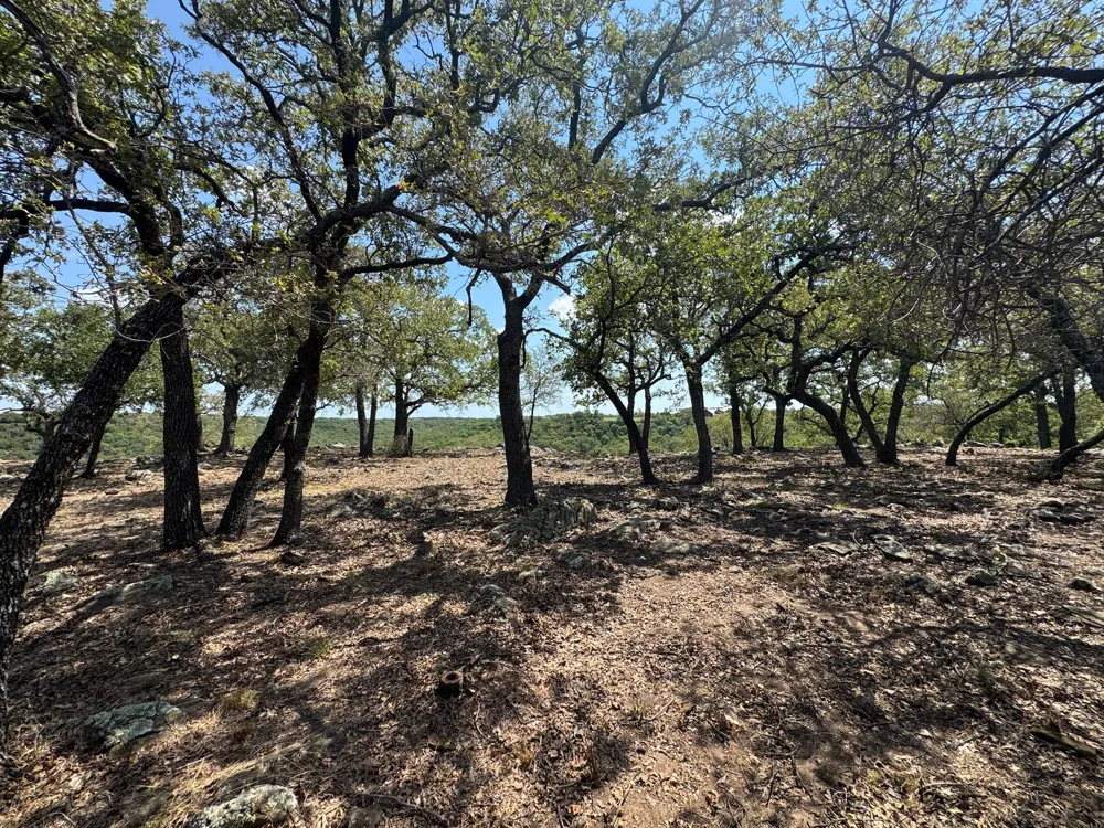 Kiki Run Gordon, TX 76453