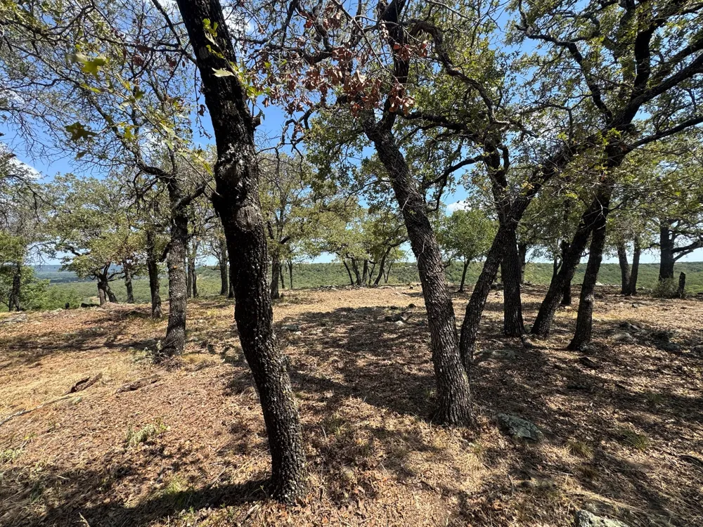 Kiki Run Gordon, TX 76453