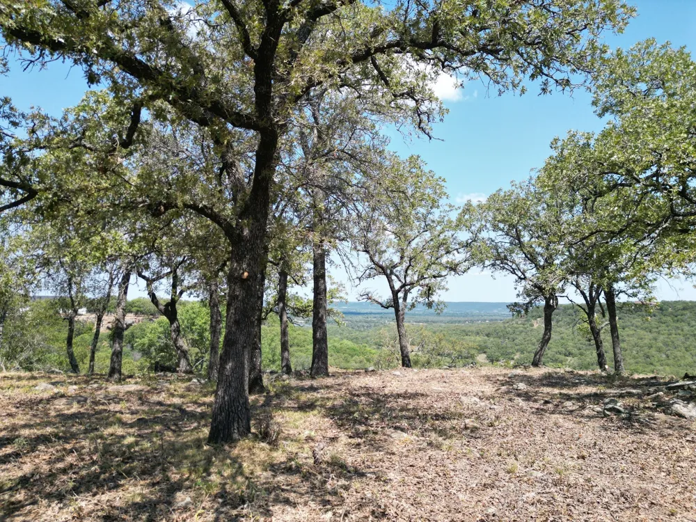 Kiki Run Gordon, TX 76453
