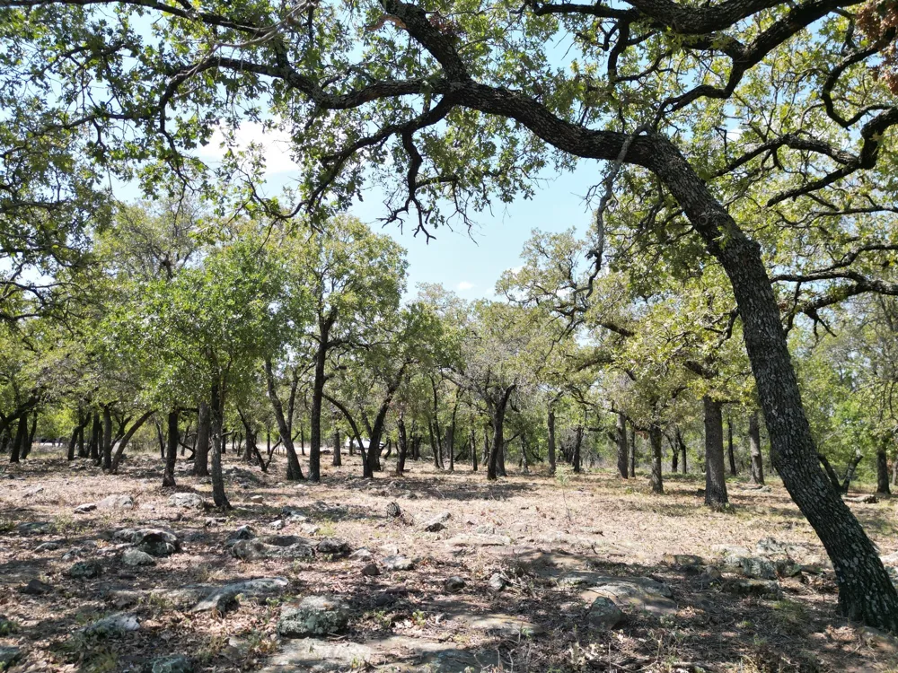 Kiki Run Gordon, TX 76453