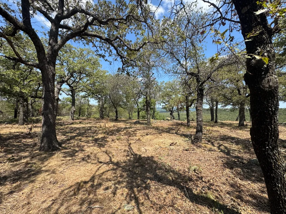 Kiki Run Gordon, TX 76453
