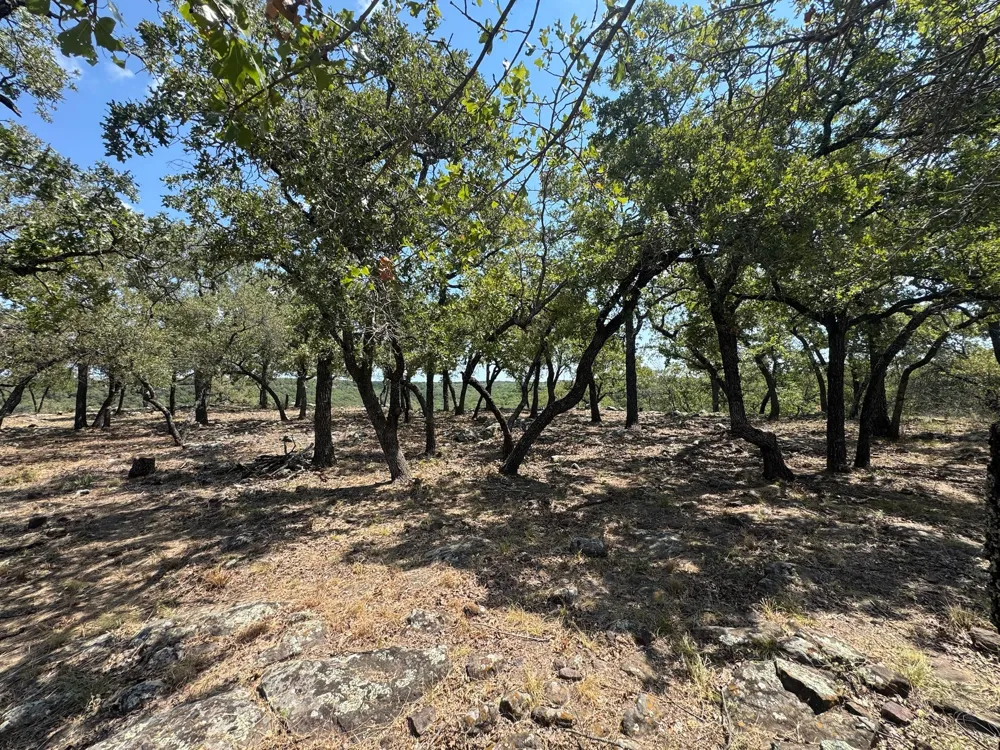 Kiki Run Gordon, TX 76453