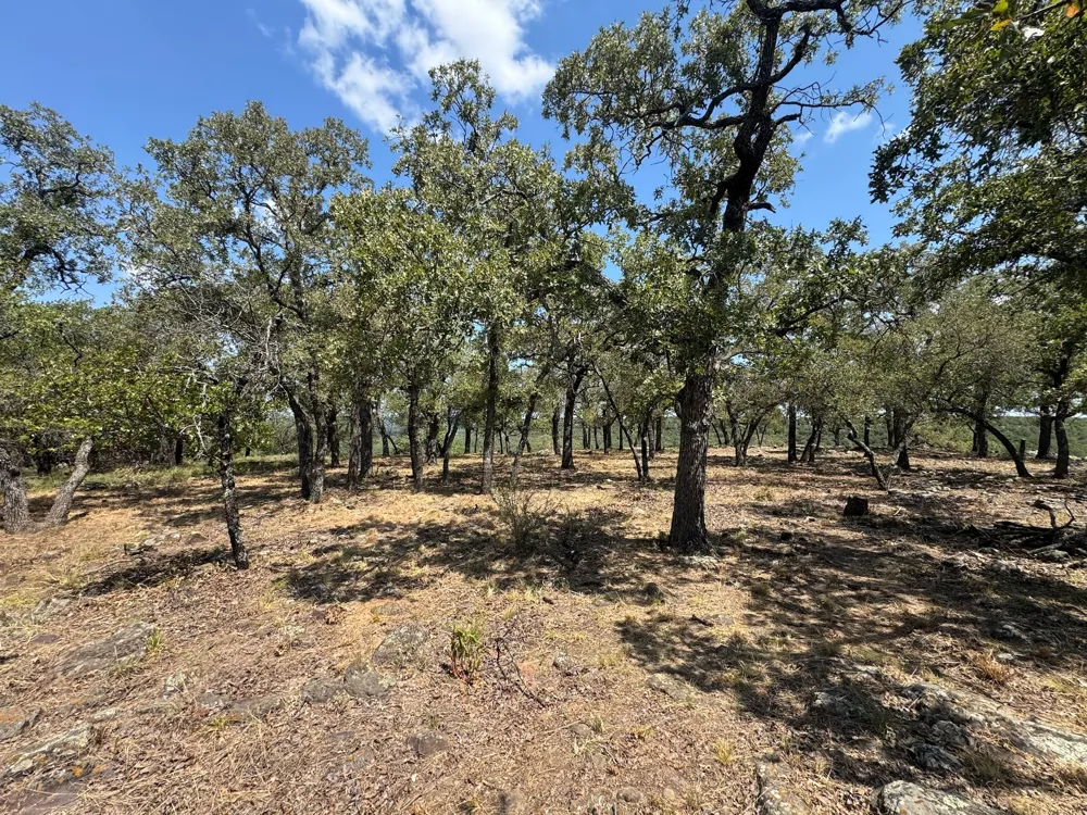 Kiki Run Gordon, TX 76453