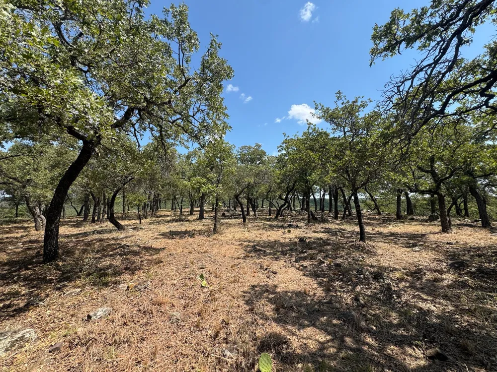 Kiki Run Gordon, TX 76453
