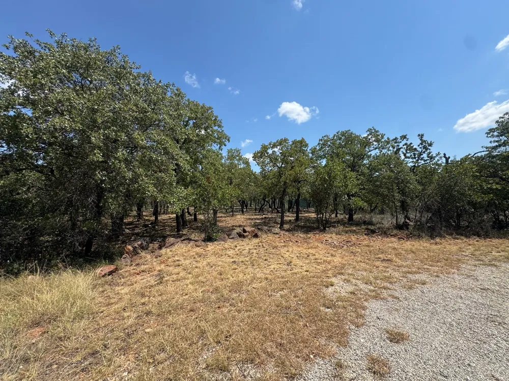 Kiki Run Gordon, TX 76453