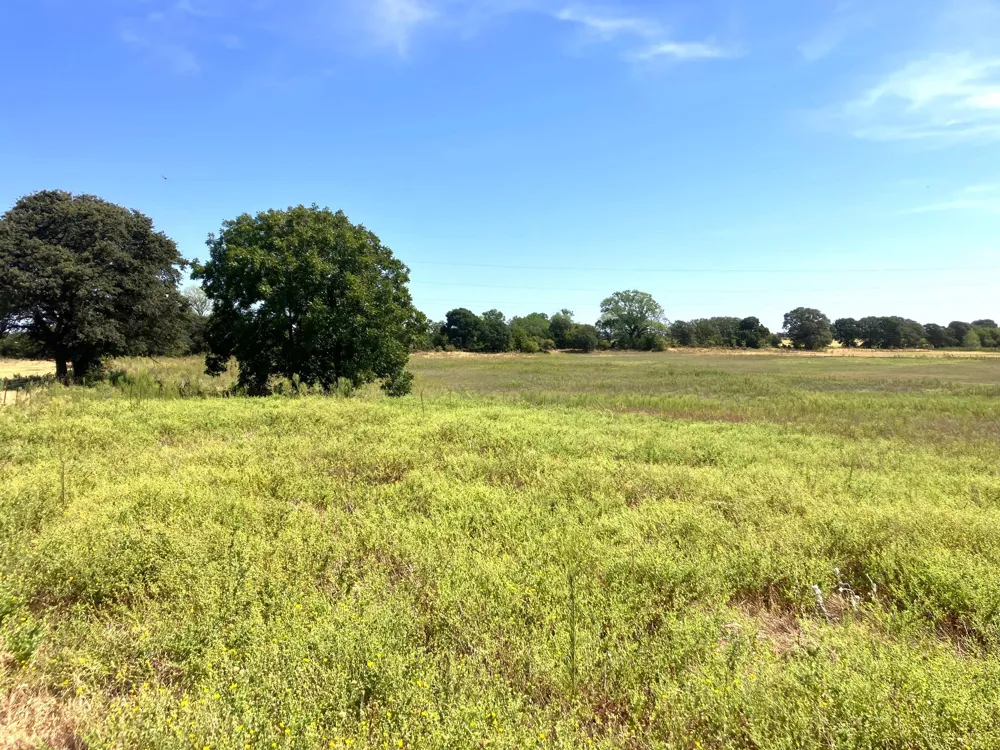 25 Highway 6 De Leon, TX 76444