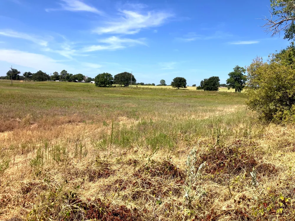 25 Highway 6 De Leon, TX 76444