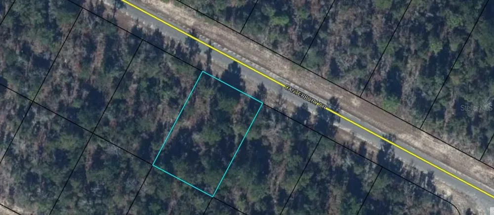 Lot 5 Unit 9 Blk 545 CANTERBURY DRIVE Chipley, FL 32428
