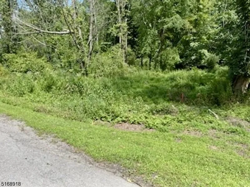 0 Rockport Rd Wantage, NJ 07461