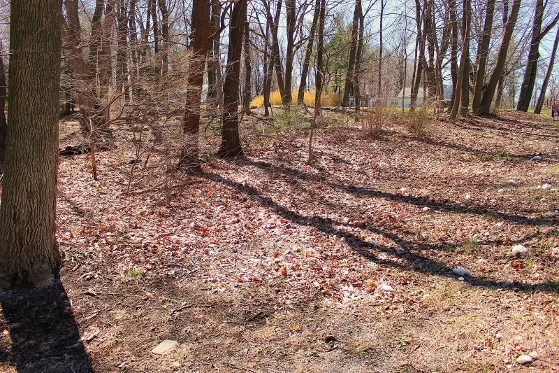 556 Glen Rd Sparta, NJ 07871