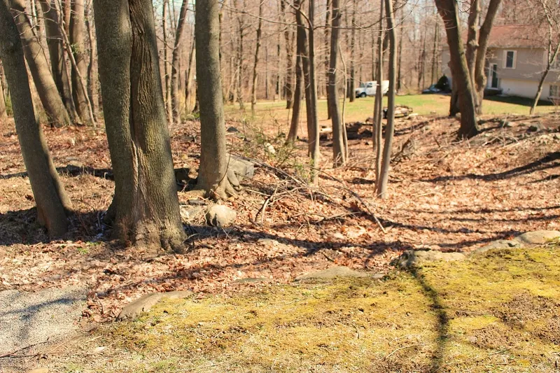556 Glen Rd Sparta, NJ 07871