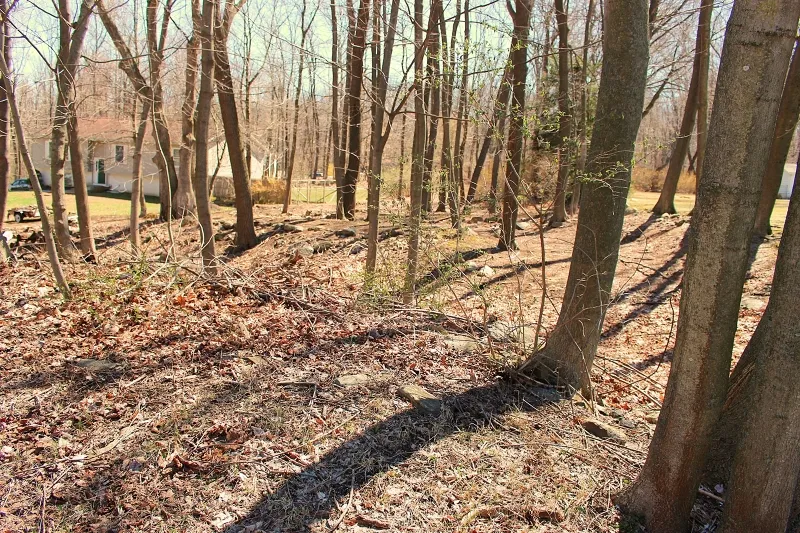 556 Glen Rd Sparta, NJ 07871