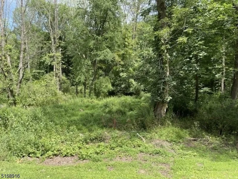 0 Rockport Rd Wantage, NJ 07461