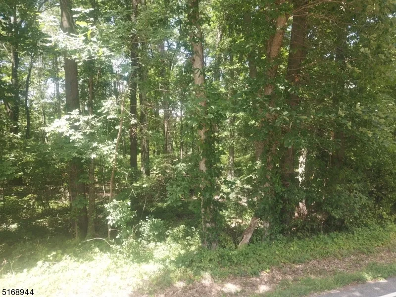 0 Unionville Rd Wantage, NJ 07461