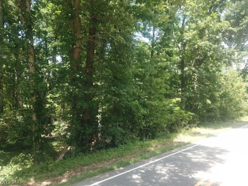 0 Unionville Rd Wantage, NJ 07461